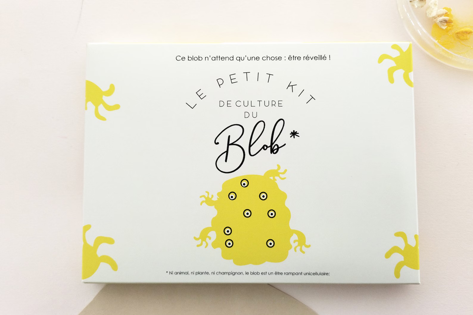Experimentlåda för barn – odla en levande slemsvamp hemma - Bild 6